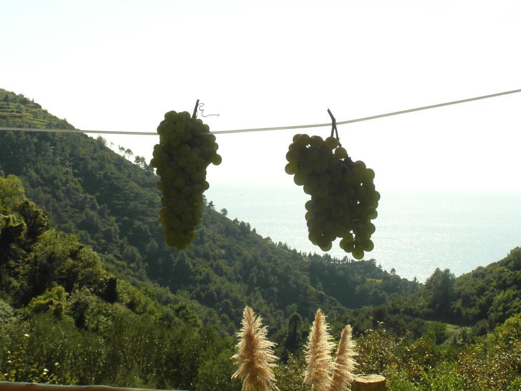 Agriturismo Costa Di Campo فيرناتْسا المظهر الخارجي الصورة