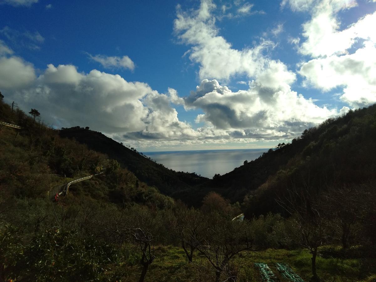Agriturismo Costa Di Campo فيرناتْسا المظهر الخارجي الصورة