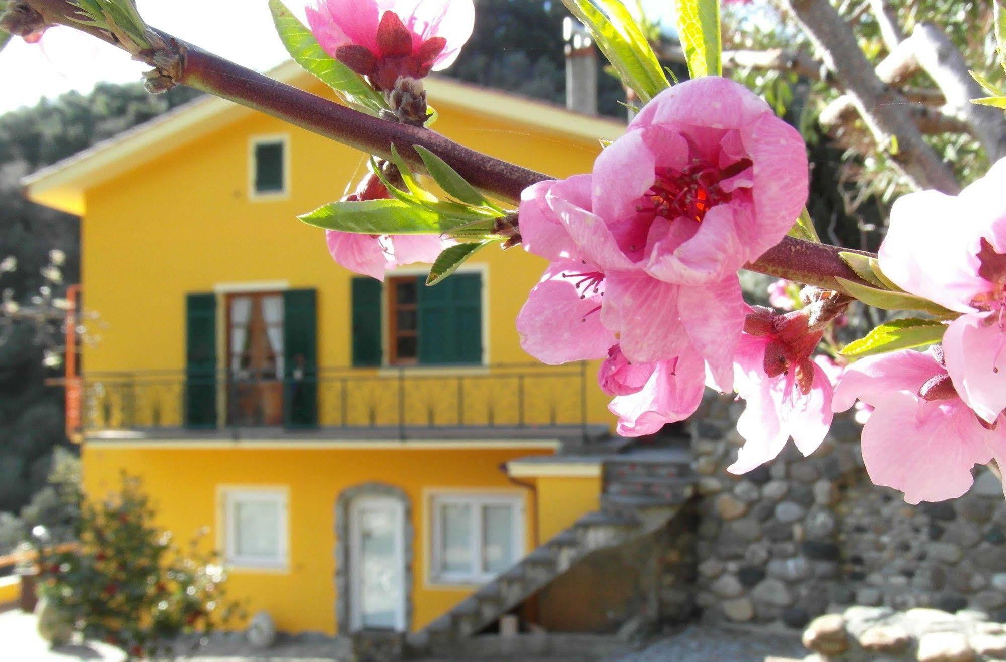 Agriturismo Costa Di Campo فيرناتْسا المظهر الخارجي الصورة