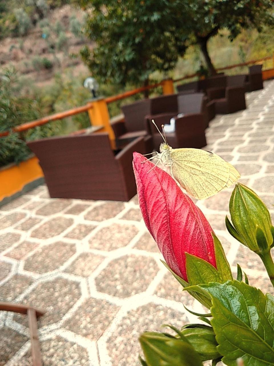 Agriturismo Costa Di Campo فيرناتْسا المظهر الخارجي الصورة