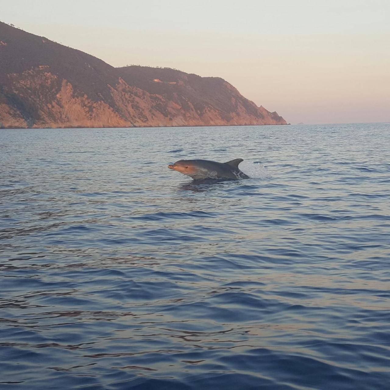 Agriturismo Costa Di Campo فيرناتْسا المظهر الخارجي الصورة